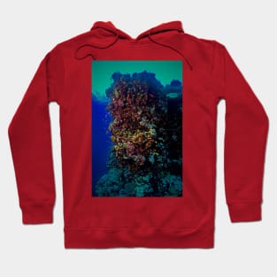 I SUFFER FROM PORITES! Hoodie